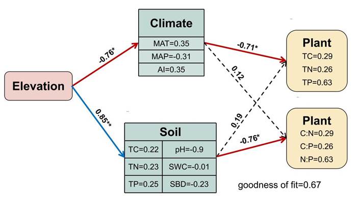 小论文组合ppt_00